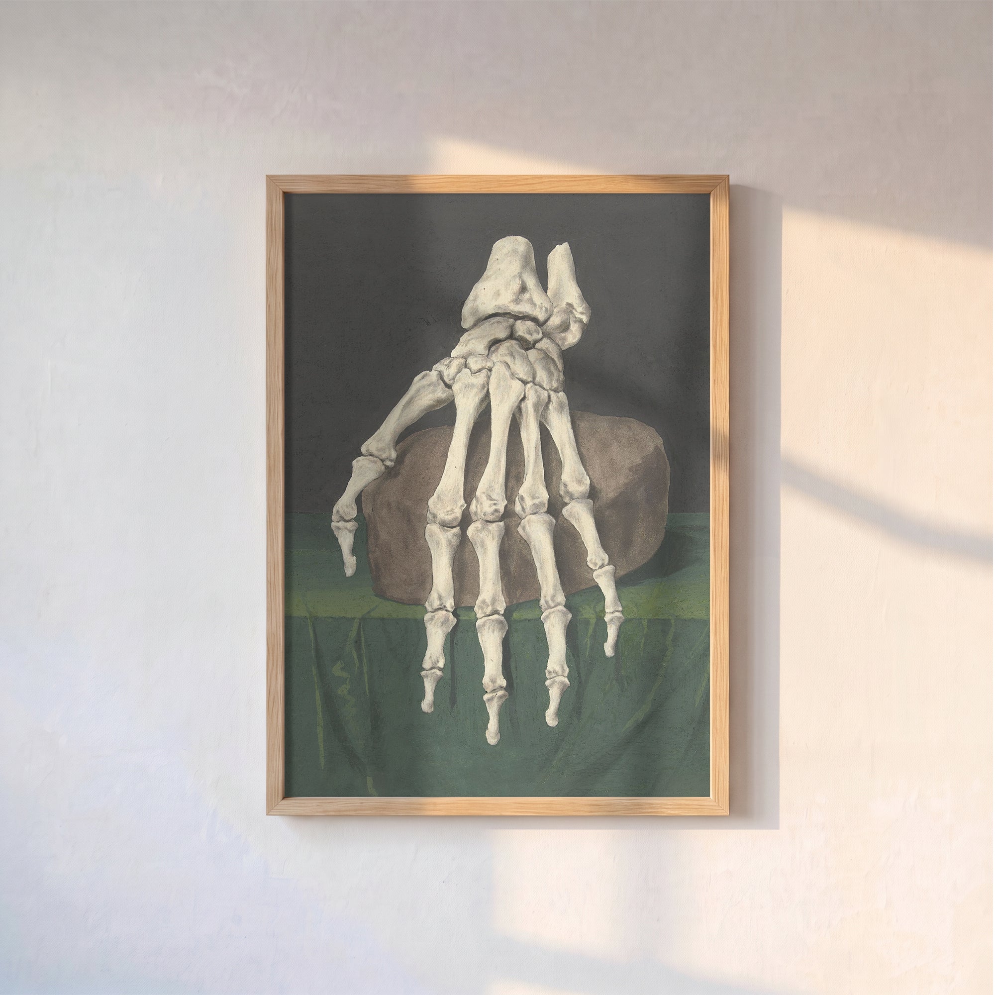 Jan l’Admiral - El İskeleti Poster Baskı