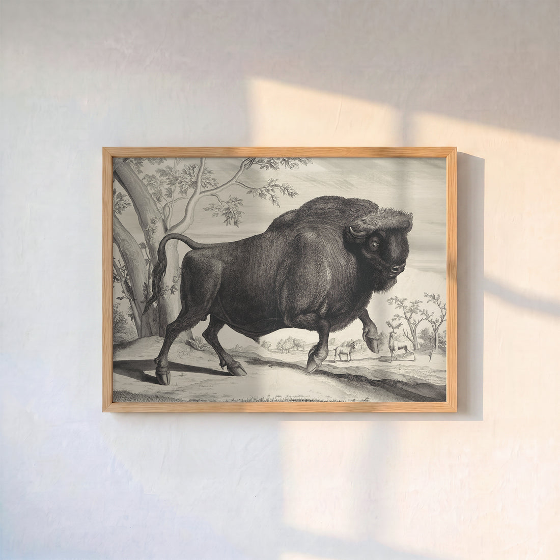 Cornelis Huyberts – Bison Gravürü Vintage Poster Baskı