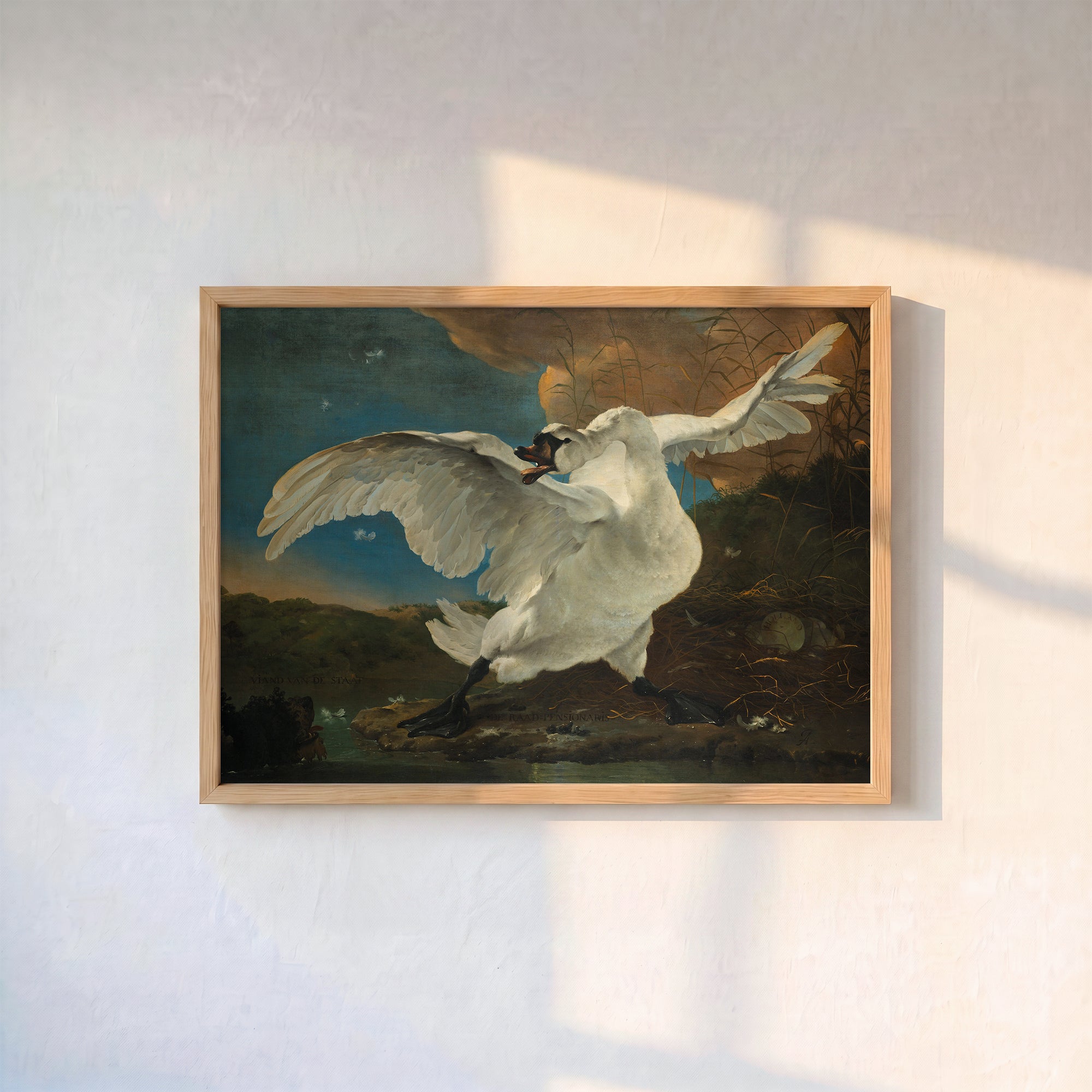 Jan Asselijn - Tehdit Altındaki Kuğu Poster Baskı