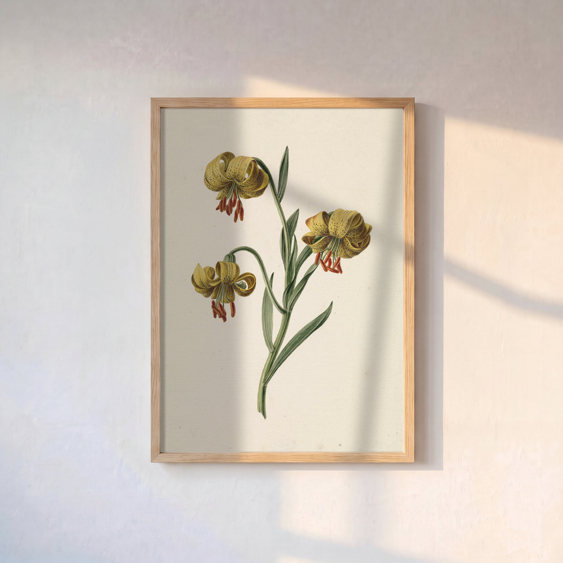 Sarı Martagon Zambağı Poster Baskı