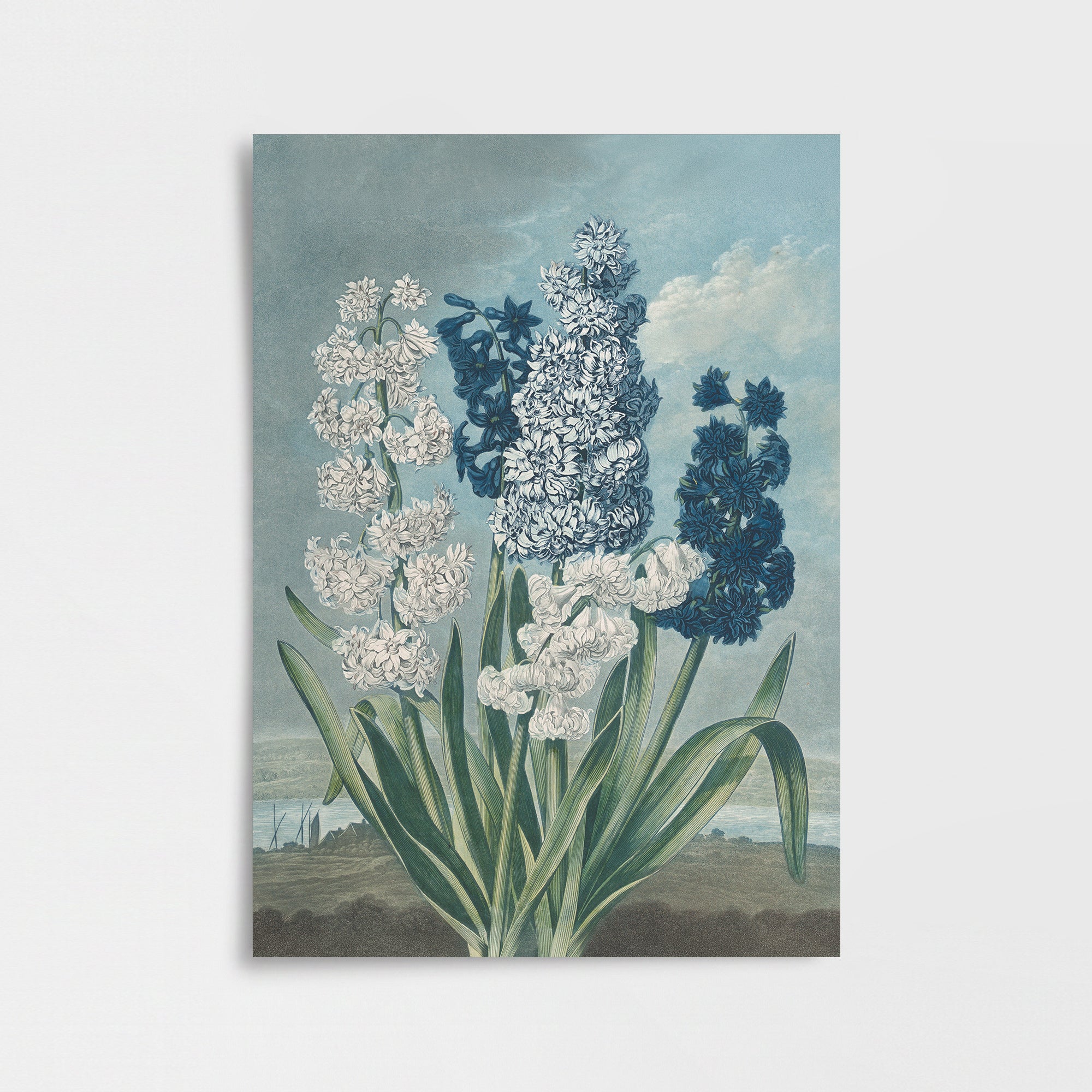 Flora Tapınağı – Sümbüller Poster Baskı