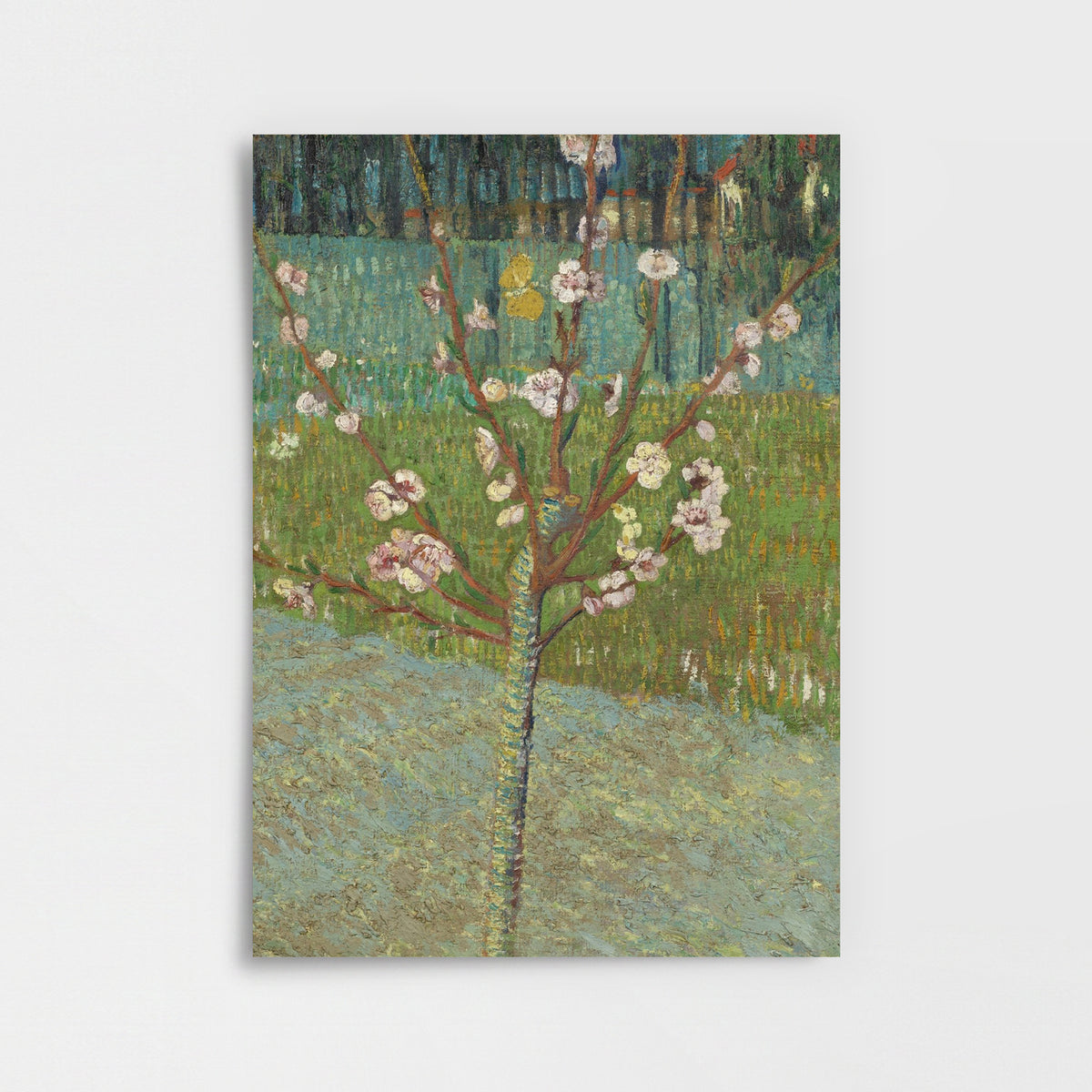 Vincent Van Gogh – Çiçek Açan Armut Ağacı Poster Baskı