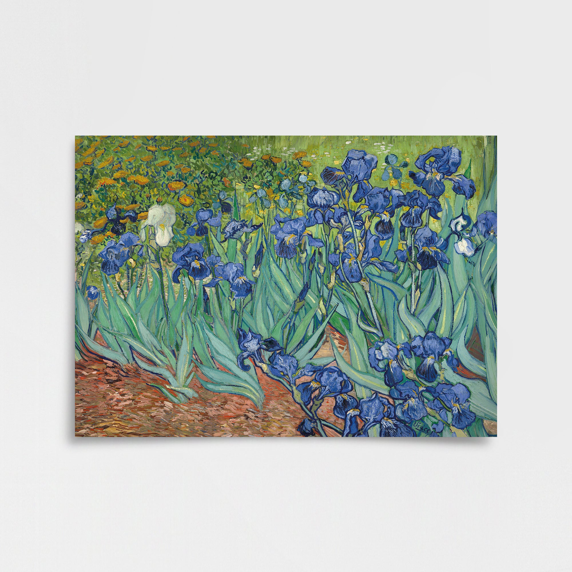 Van Gogh - Mavi Süsen Çiçekleri (İrisler) Poster Baskı