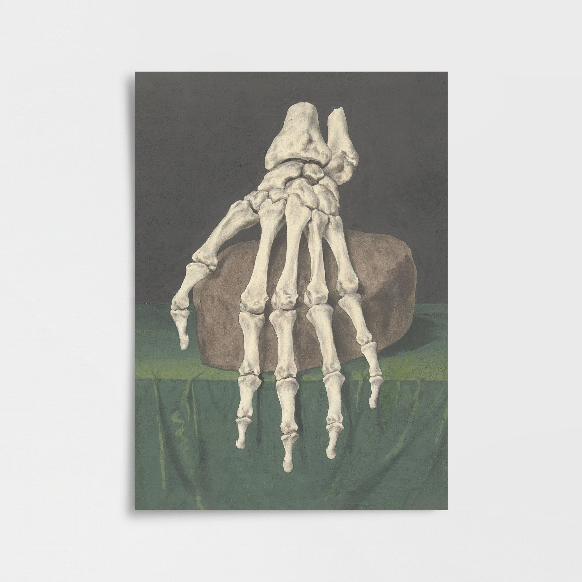 Jan l’Admiral - El İskeleti Poster Baskı