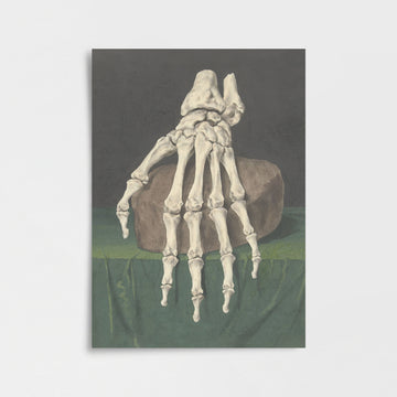 Jan l’Admiral - El İskeleti Poster Baskı