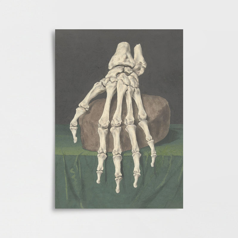 Jan l’Admiral - El İskeleti Poster Baskı